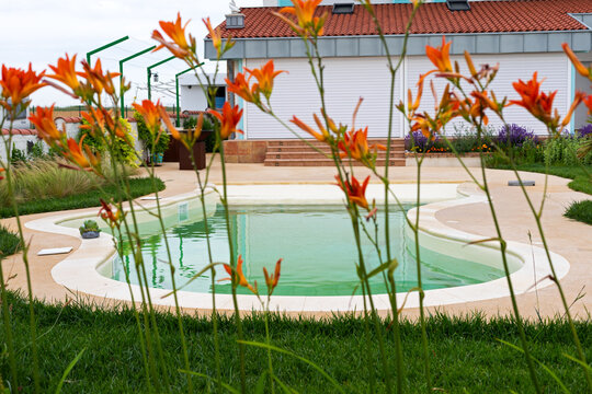 Landscaped Backyard Swimming Pool Framed by Orange Daylilies