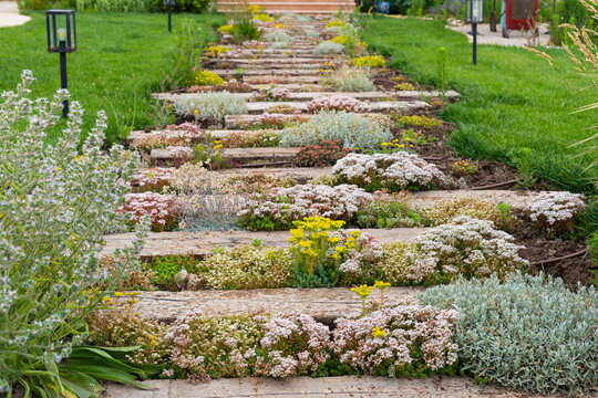 Flowering Garden Path with Rustic Wooden Sleeper Steps