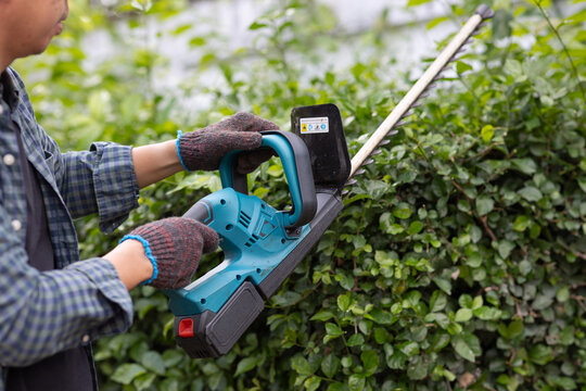 Close up of a gardener wearing protective gloves using an electric hedge trimmer to maintain and shape green shrubs in a garden.