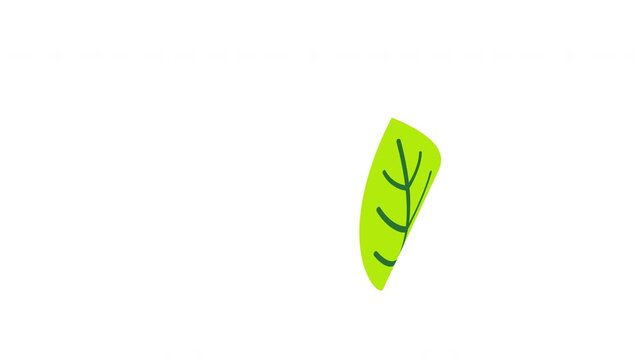 Vibrant stylized green leaf spinning and falling gently isolated overlay Prores Alpha 4K 60 fps