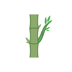Fototapeta premium Green bamboo stalk with fresh leaves vector illustration isolated on white