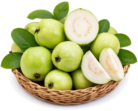 Fresh green guava fruits in wicker basket