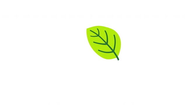 Single bright yellow green leaf drifting vertically isolated background Prores Alpha 4K 60 fps