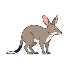 Naklejka premium Cute Australian Bilby Marsupial Vector Illustration in Simple Cartoon Style