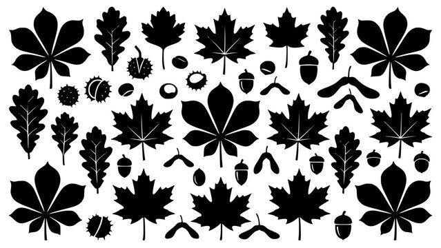 Collection of black silhouettes featuring various autumn leaves acorns and tree seeds on white background