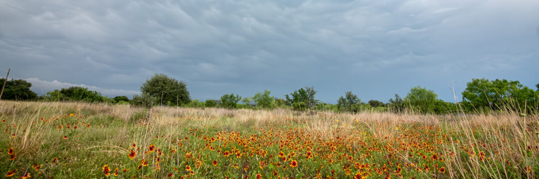 Impacts of Climate Change. Extreme Weather, Supercell Storms, Global Warming and Environmental Sustainability. Wide Web Banner Featuring Copy Space