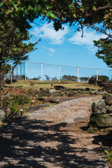 小値賀町・野崎島の集落跡と鹿 © kiki