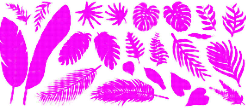 Set of pink tropical palm leaves and exotic plant foliage