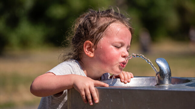 Thirsty Child Drinking from Fountain: A young child with flushed cheeks drinks cool water from a public fountain on a warm day, finding refreshment and relief.