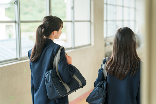 The back view of a friend walking down a school corridor (elementary school, middle school, and high school students, including female high school students, in their school uniforms)