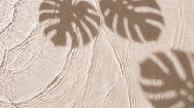 Monstera leaf shadow on clear water with sandy bottom