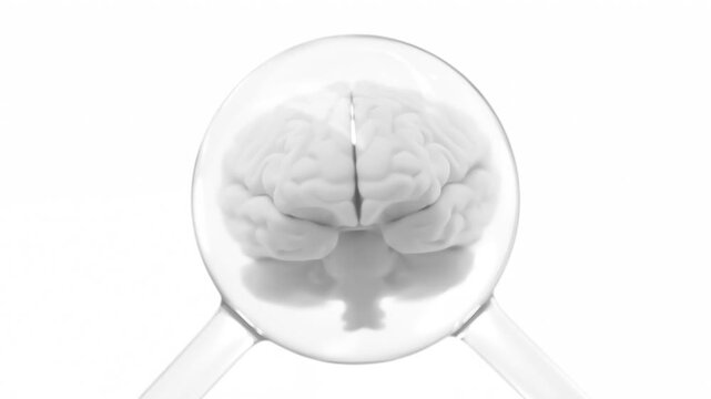 Brain in molecules transparent simulation. Minimal concept design. Includes white background and green screen. Can be used in medical elements or science. Animation Seamless loop, 3D Render.