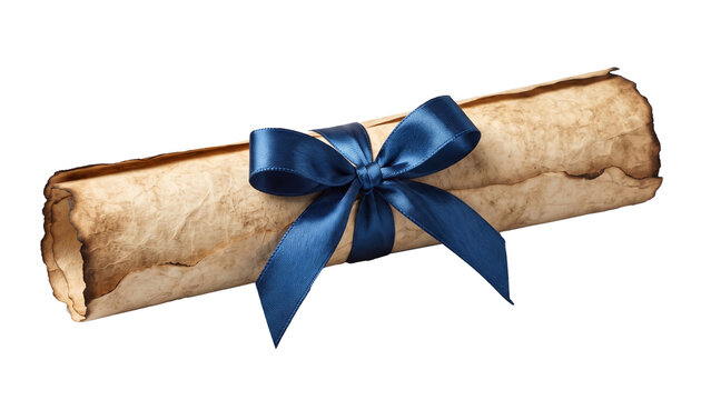 Rolled parchment scroll tied with a blue satin ribbon, isolated on transparent background