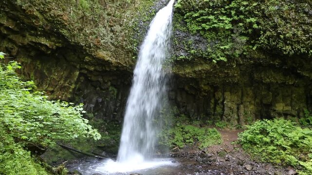 Upper Latourell Falls - Columbia River Gorge, Oregon