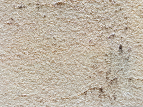 Close up texture of a light beige stone surface showing a granular sand-blasted finish, subtle natural dimpling, and scattered dark mineral specks.