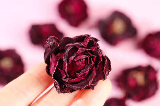 Dried Red Rose Tea from Yunnan Province Held in Hand - Premium Herbal Tea Petals