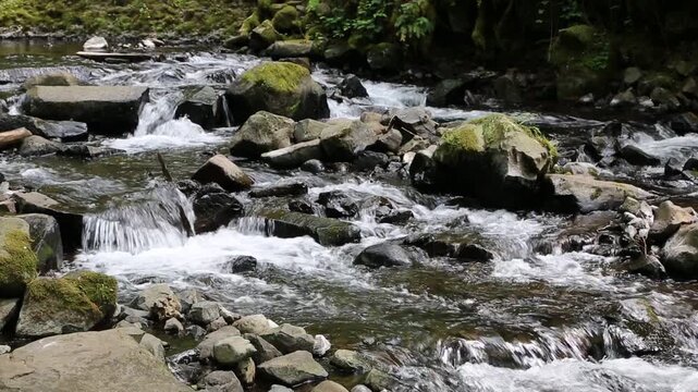 Rocks and stream - Columbia River Gorge, Oregon