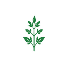 Fototapeta premium Minimalist green leaf plant branch icon design element for organic nature logo and eco friendly branding isolated on transparent background, Vector