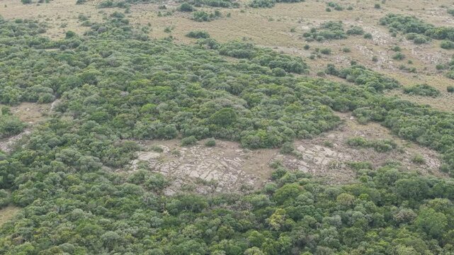 Drone begins above a rocky outcrop before ascending to reveal an expansive panoramic view of the native forest surrounding Laguna Negra, Rocha, Uruguay.