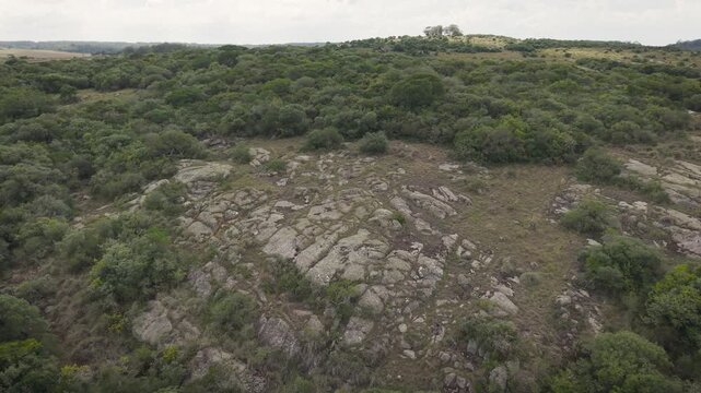 Drone lifts off from an exposed rocky outcrop and ascends above the native forest canopy, revealing the diverse rural landscape of Laguna Negra, Rocha, Uruguay.