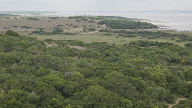 Drone rises from the native forest canopy to reveal an expansive view of grazing fields, woodlands, and the rural landscape surrounding Laguna Negra, Rocha, Uruguay.
