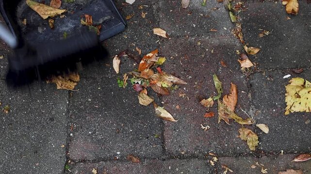Video cleaning up fallen leaves.