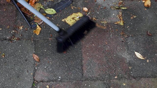 Video sweeping leaves of the ground.