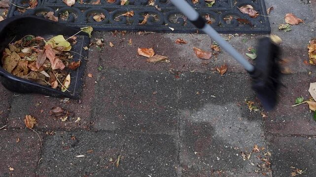 Video sweeping away the leaves from of the ground.