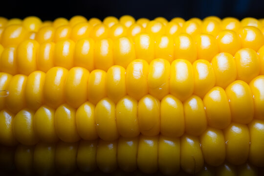 Macro close-up of hot boiled sweet corn on the cob sprinkled with white sea salt crystals. High qulaity