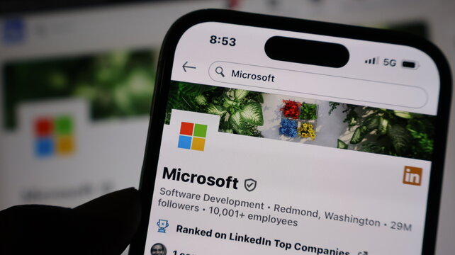 Microsoft company profile page on smartphone screen with colorful logo and nature header for corporate brand identity.