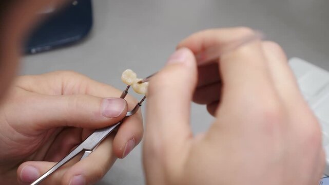 Dental technician hands holding single ceramic crown with metal tongs while applying fine pigment with brush. Professional aesthetic staining process in dental lab for natural restoration 4k video