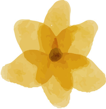 Watercolor Yellow Flower Illustration
