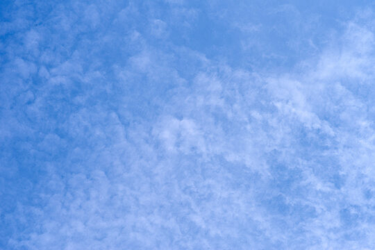 Błękitne niebo usiane drobnymi, białymi chmurami typu Altocumulus. Wyrazista tekstura chmur barankowych tworząca piękny, naturalny wz&oacute;r na niebie.