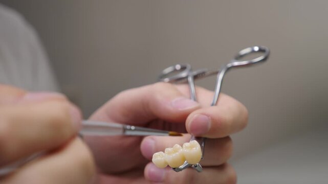 Close-up of dental technician hands gently painting ceramic prosthetic with fine brush to add natural color shade. Professional aesthetic finishing stage in laboratory for crown or bridge restoration 