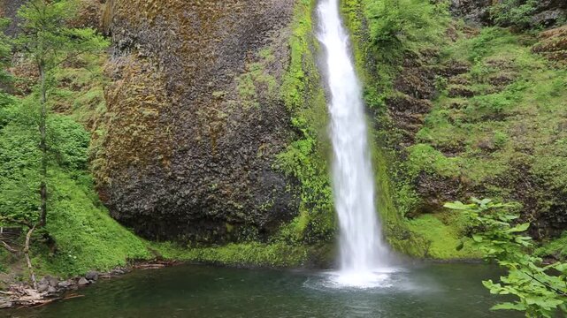 Horsetail Fall - Columbia River Gorge, Oregon