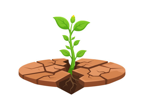 A small green plant growing through cracked dry earth.