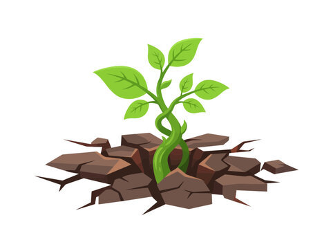 A vibrant green plant sprouting through cracked dry earth.