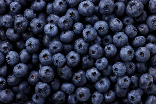画面全体に敷き詰められた新鮮なブルーベリーの果実　Fresh blueberries filled in full frame, berry pattern background