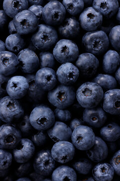 画面全体に敷き詰められた新鮮なブルーベリーの果実　Fresh blueberries filled in full frame, berry pattern background