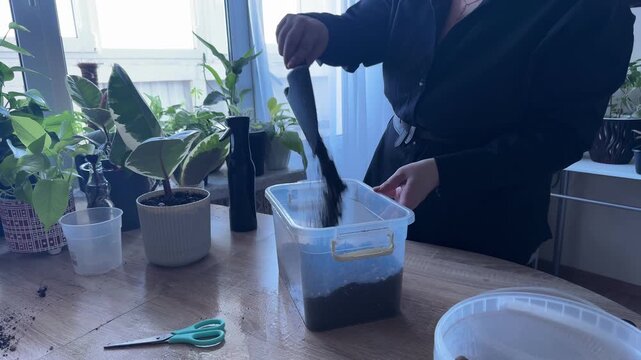 Woman mixing potting soil for houseplants during repotting, preparing soil mixture in container, indoor gardening process, hands working with gardening substrate, plant care, home gardening activity