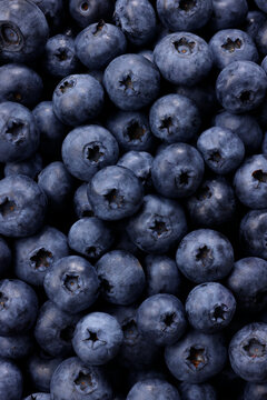 画面全体に敷き詰められた新鮮なブルーベリーの果実　Fresh blueberries filled in full frame, berry pattern background