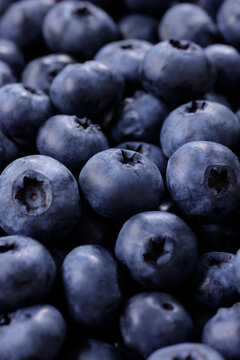 画面全体に敷き詰められた新鮮なブルーベリーの果実　Fresh blueberries filled in full frame, berry pattern background