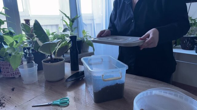 Woman closing container with prepared potting soil after mixing, storing gardening substrate for houseplants, indoor gardening process, soil preparation, plant care, home gardening activity
