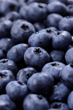 画面全体に敷き詰められた新鮮なブルーベリーの果実　Fresh blueberries filled in full frame, berry pattern background