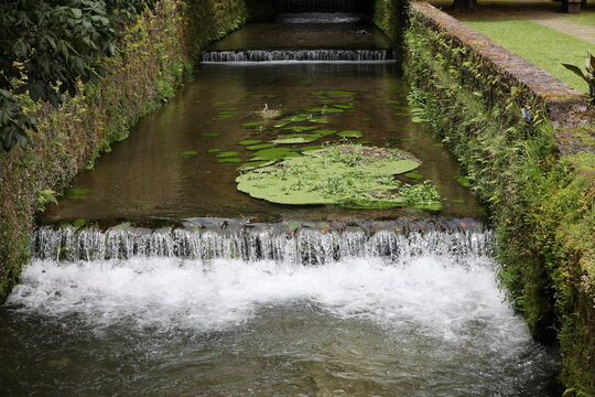 Watercourse n the municipality of Furnas, Sao Miguel, Azores, Portugal