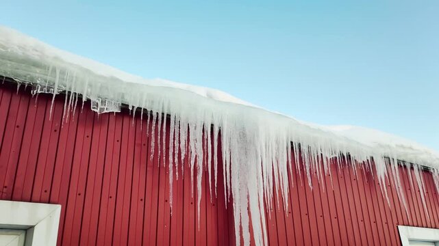 Long sharp icicles hanging from snow-covered roof edge of red barn against clear blue sky, winter season scene with cold weather, natural ice formation