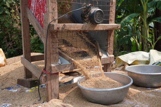 Motorized Grain Winnowing Machine Separating Clean Grain from Chaff