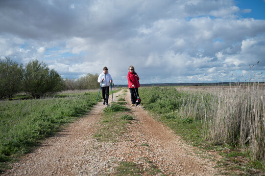 Mother and teenage son walking with their small dog along a rural trail through a wetland landscape using trekking poles under a dramatic cloudy sky