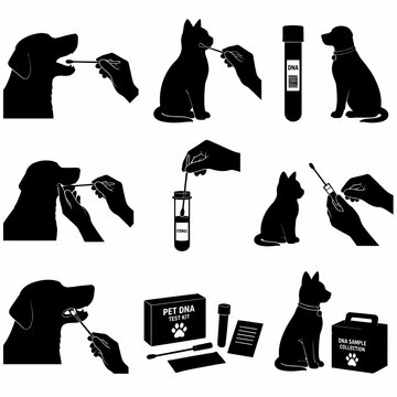 Black silhouette icon set depicting pet DNA testing for dogs and cats, featuring buccal swab collection, sterile sample vials, test kit boxes, and animal genetic screening tools.