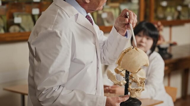 Senior Caucasian male professor holding human skull model and pointing with pointer during anatomy lecture, camera tilting up. Footage is perfect for medical school advertising